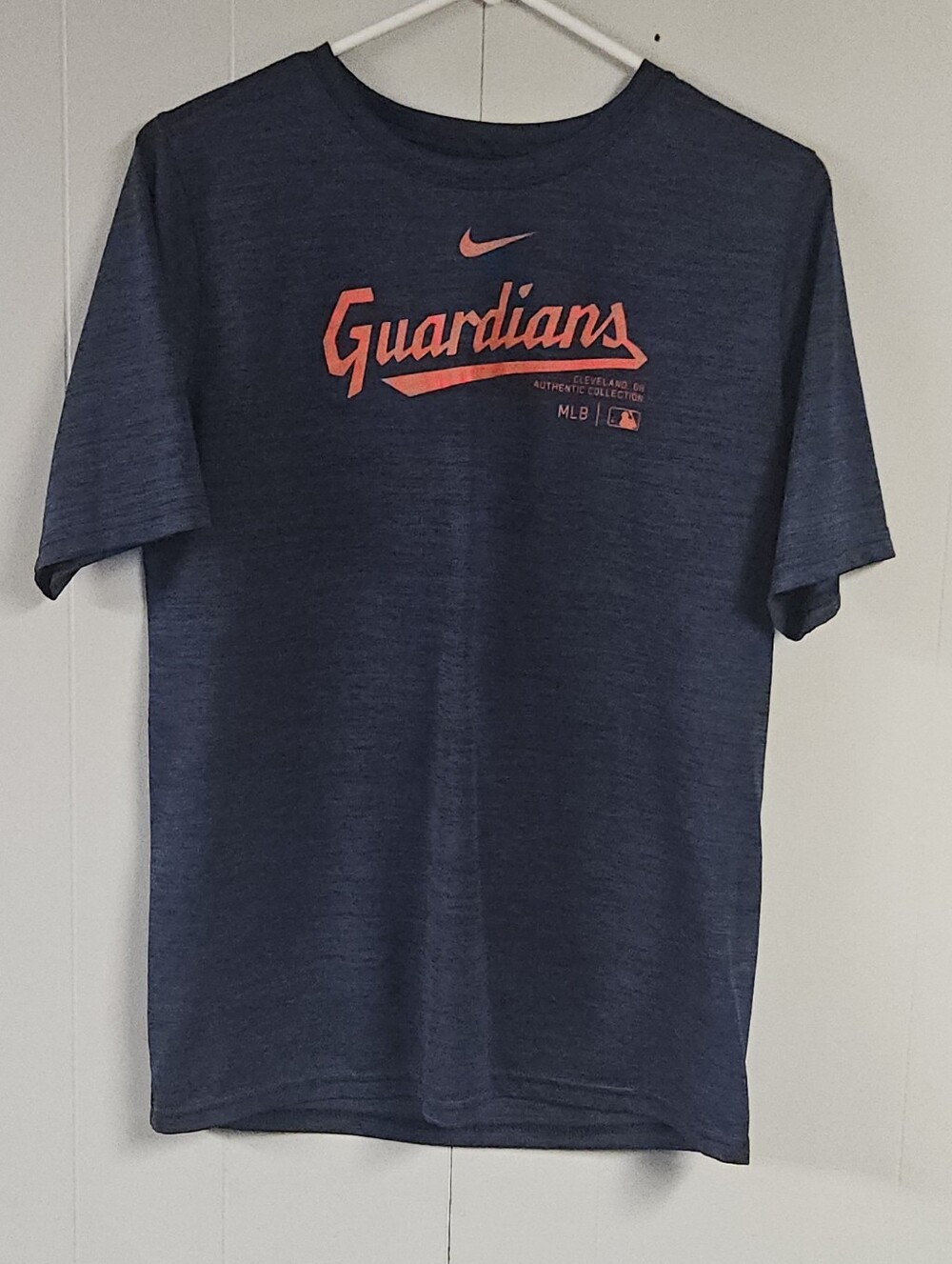 Nike Authentic Collection Cleveland Guardians Dri-Fit T Shirt